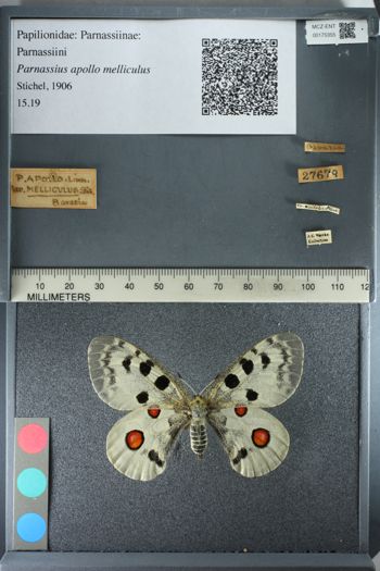 Media type: image;   Entomology 175355